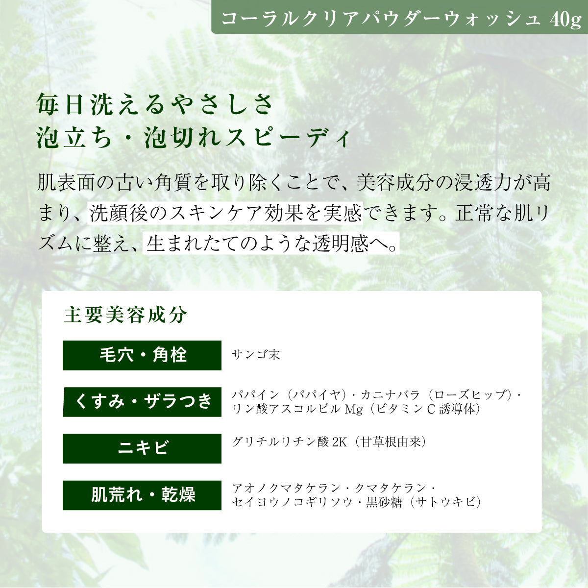 アルファピニ パウダーウォッシュ 40g 3本セット