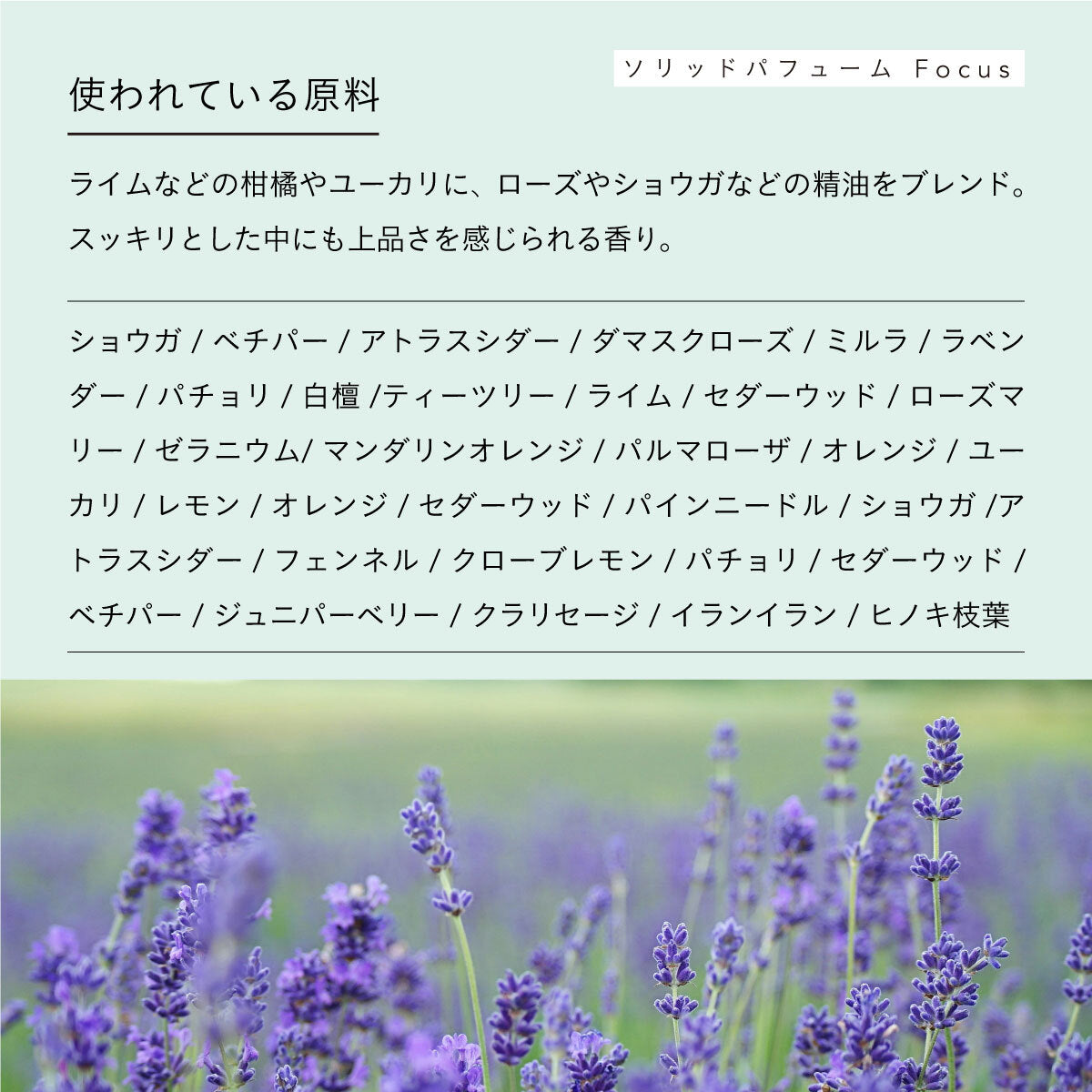 aroma recolte ソリッドパフューム Focus