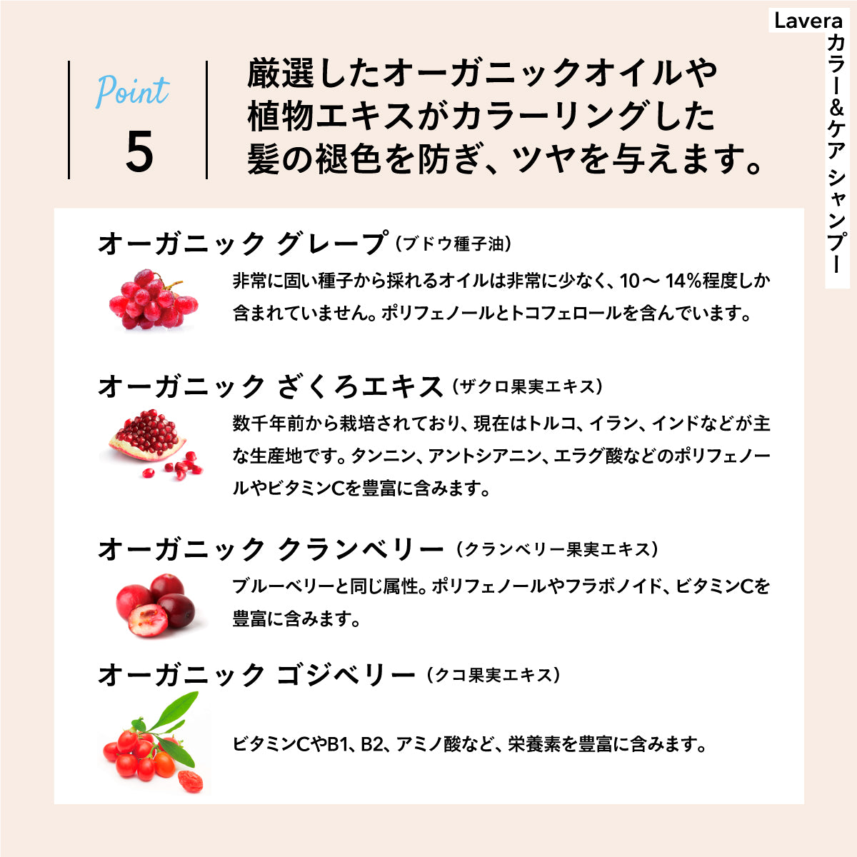 lavera カラー&ケア セット