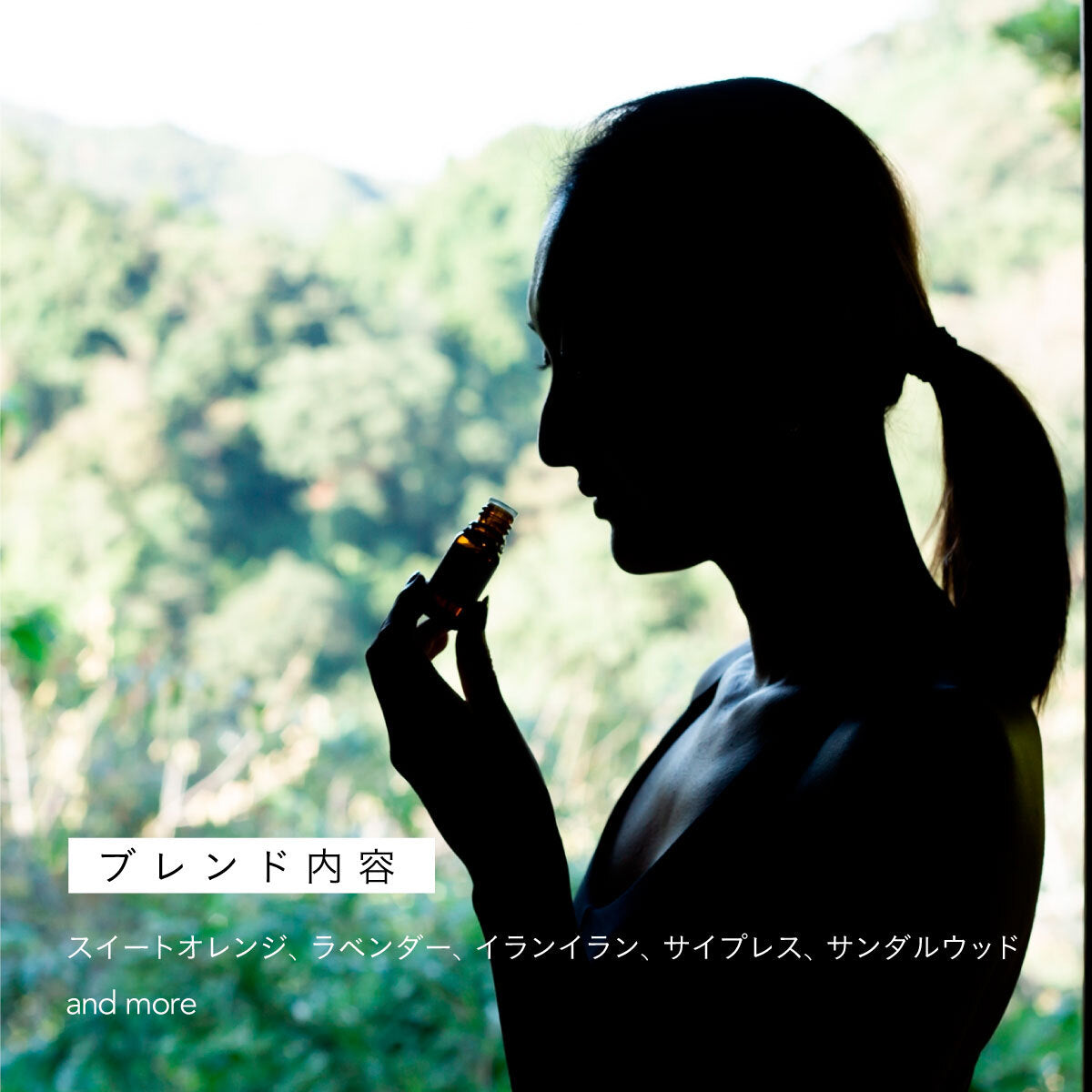 ZEN アロマミスト 80ml CHANDRA