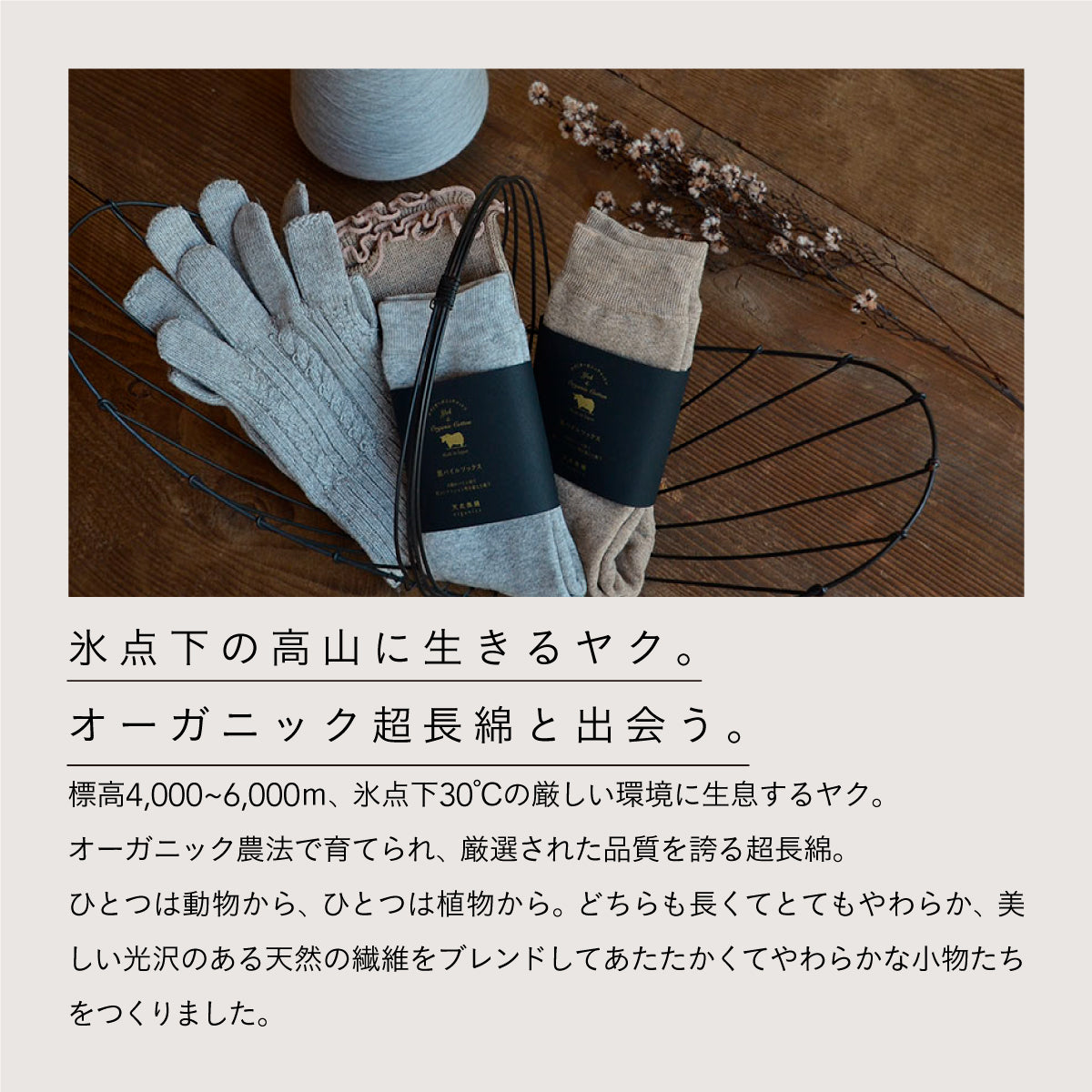 天衣無縫 ヤクとオーガニックコットン 腹巻き BR (ブラウン)