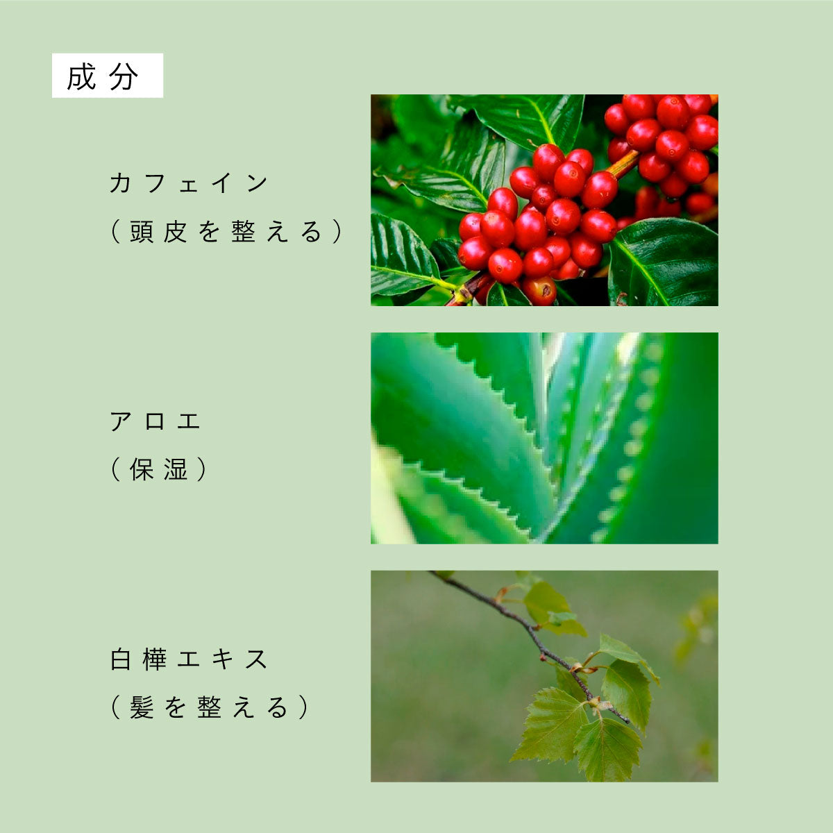 【3本セット】luamo ベーシックシャンプー 250ml