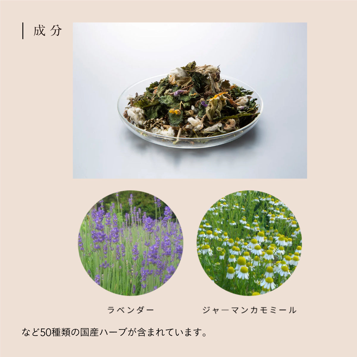 【6個セット】へちまここち 国産へちま葉と国産ハーブのここちいい湯 1袋25g入り