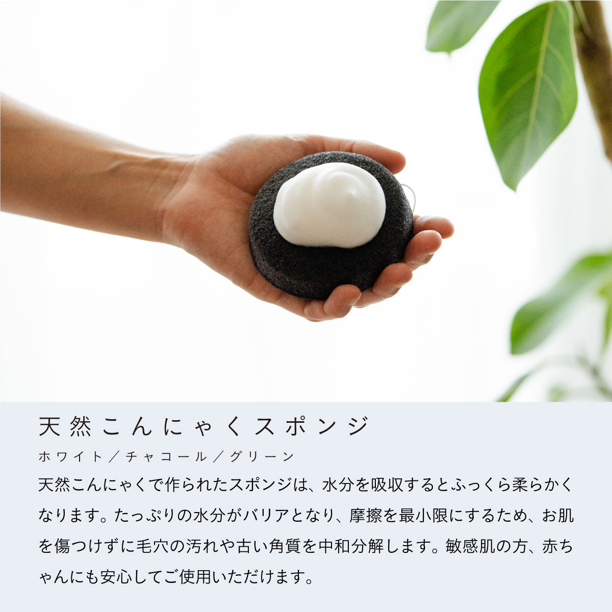 mana.ORGANIC LIVING 天然こんにゃくスポンジ グリーン