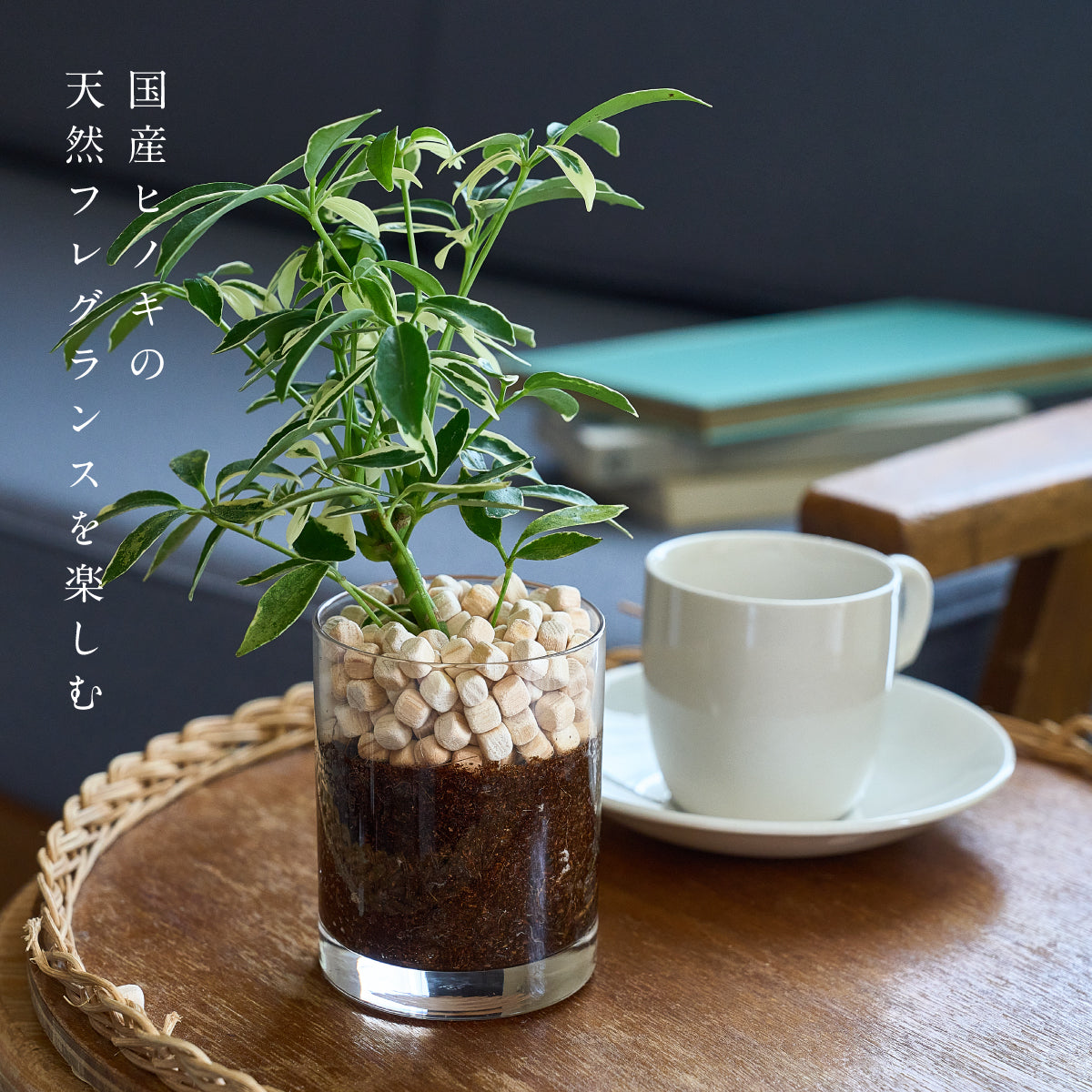 shiyu Aromachips 70g