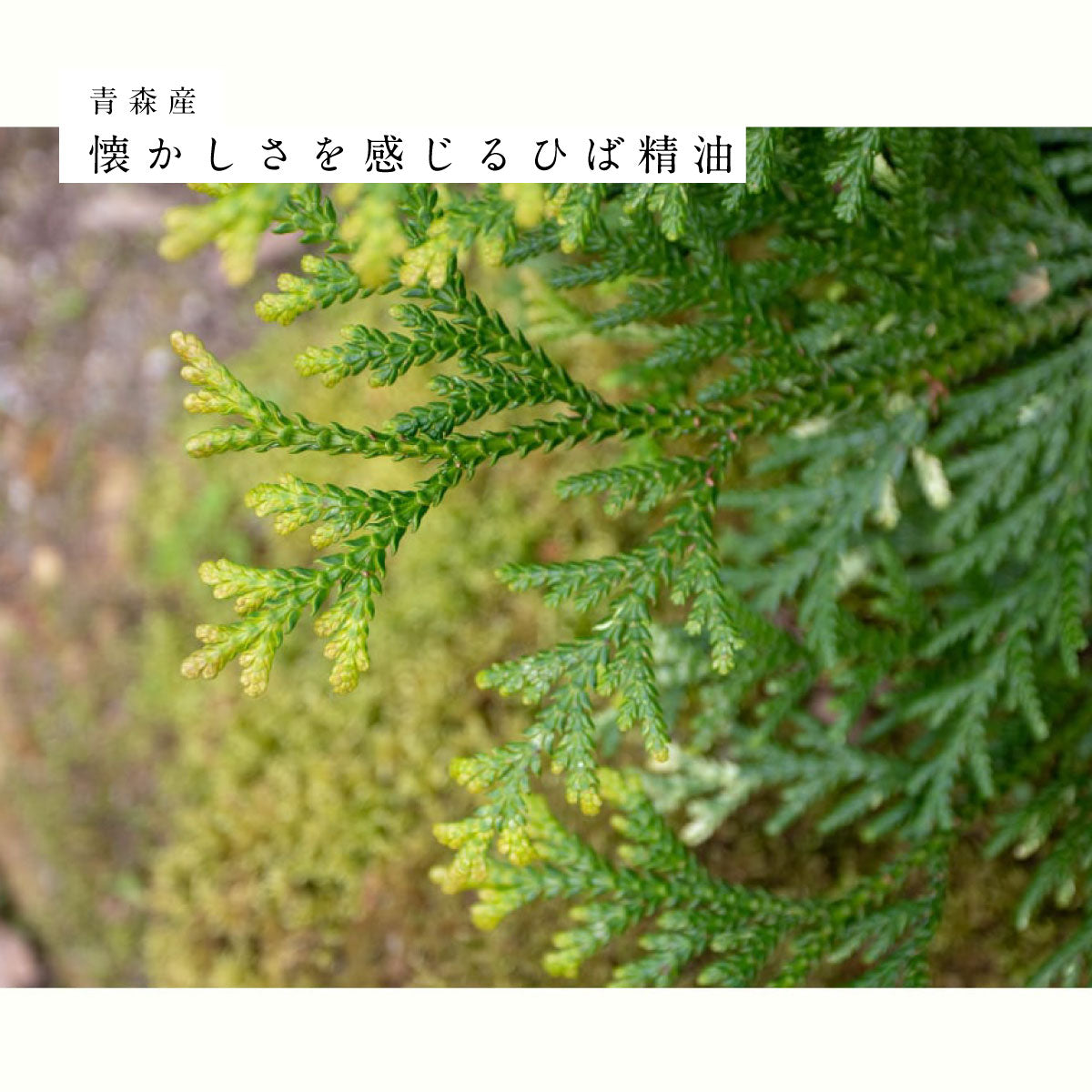 hiroha マルチバーム 15g ひばサンダルウッド