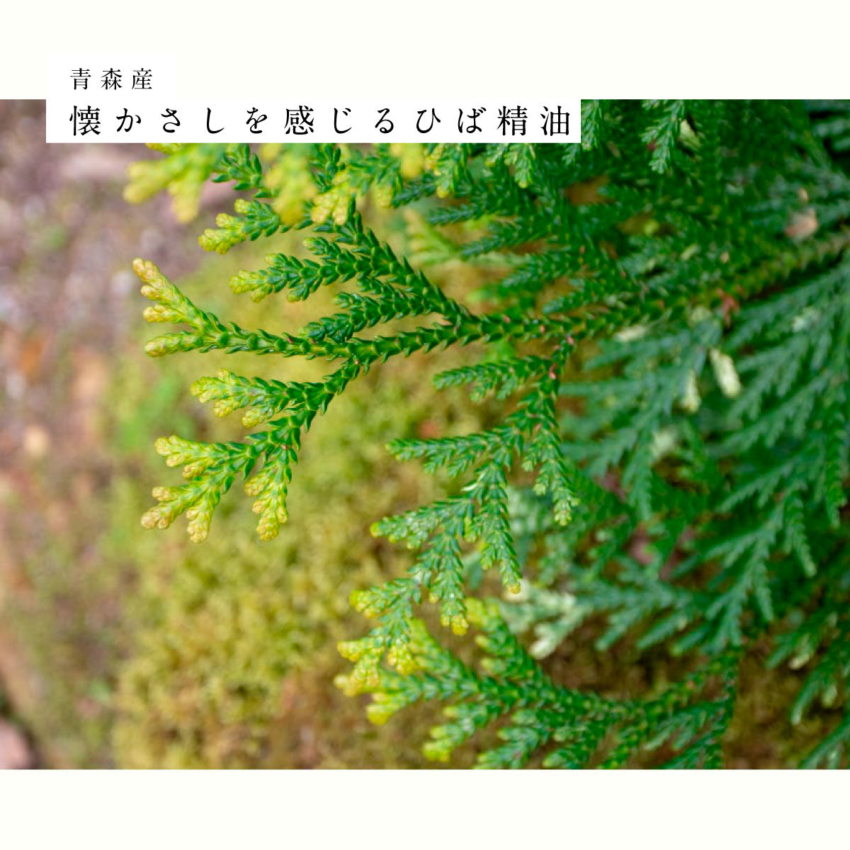 hiroha バスソルト 120g ひばサンダルウッド