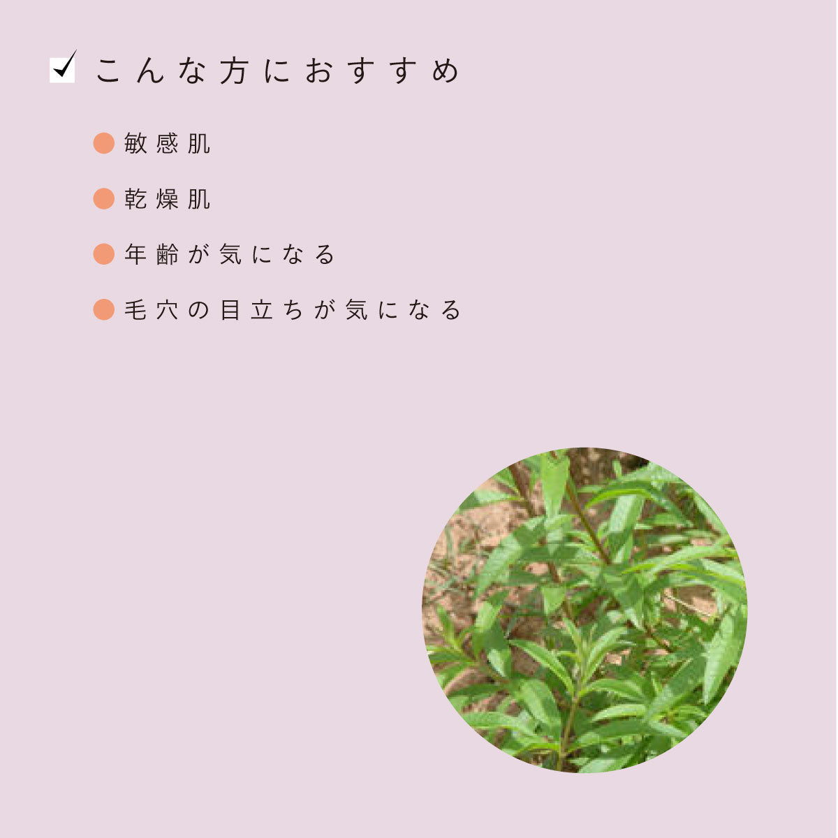 ROSE DE MARRAKECH フローラルリッチローション ヴェルヴェーン 150ml