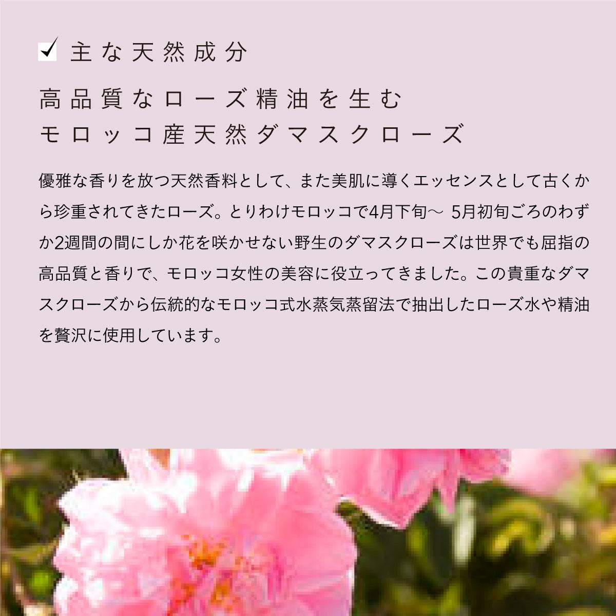 ROSE DE MARRAKECH ヘアケアオイル 80ml