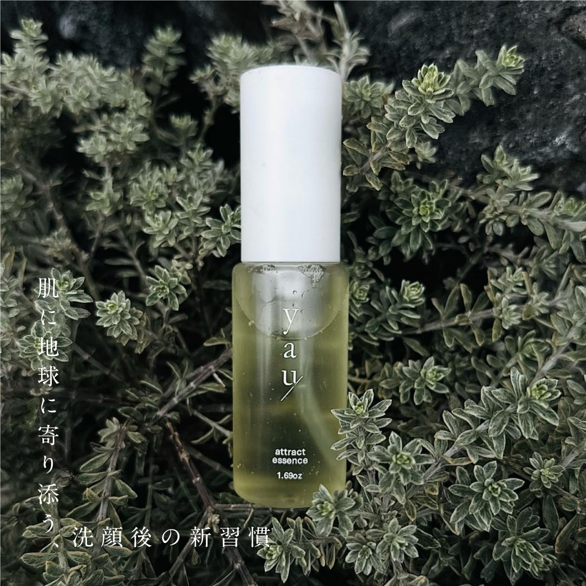 yau アトラクトエッセンス 50ml