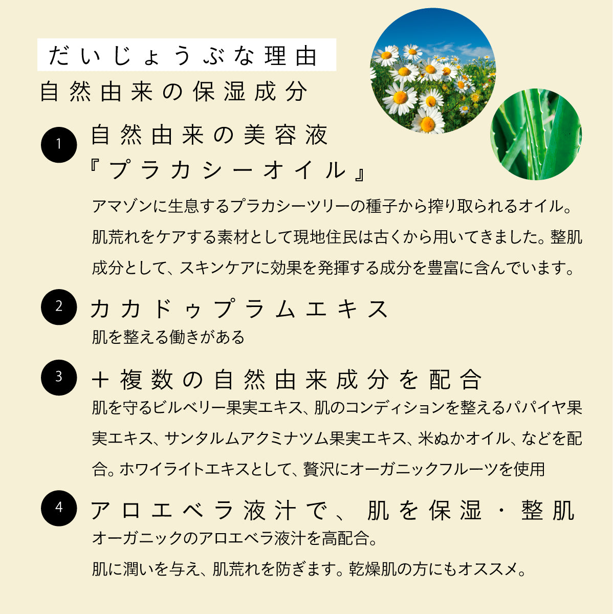 だいじょうぶなもの デオドラントロールオン シトラス 50ml