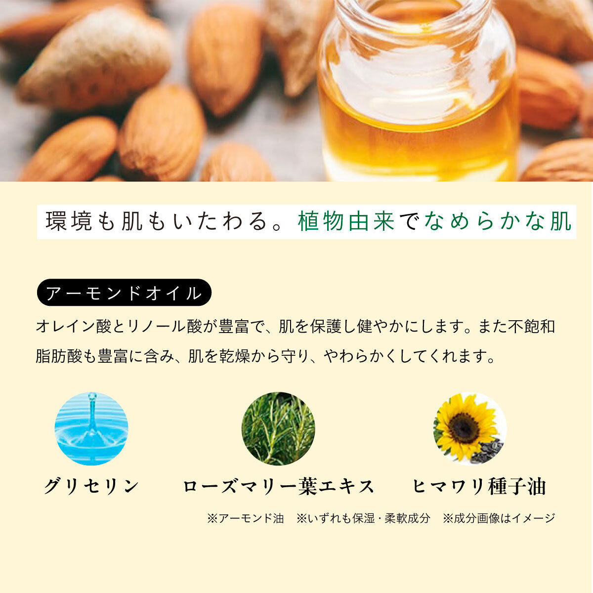Panier des Sens ベジタブルソープ プロバンス