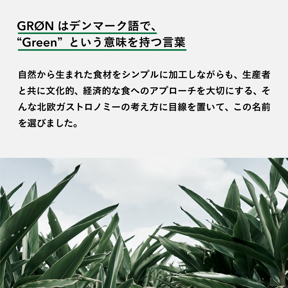 GRON プロテインブレンド (クリオロベリーズ) 240g