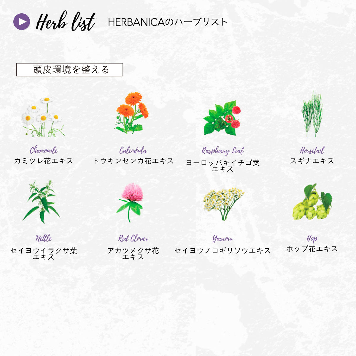HERBANICA シャンプー500ml (ハーブ&ハニー)