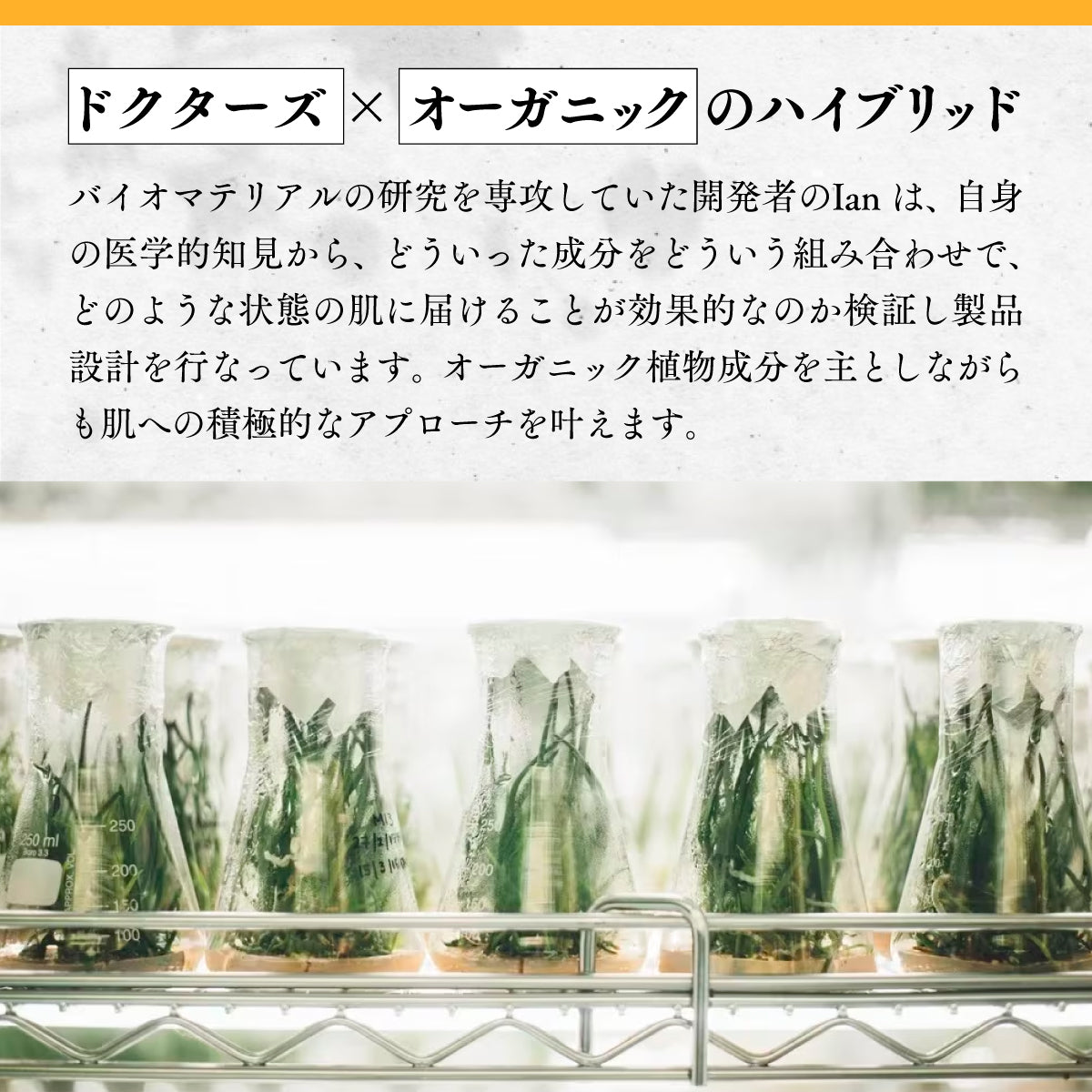 ORGAID エッセンスマスク マルチパック BOX