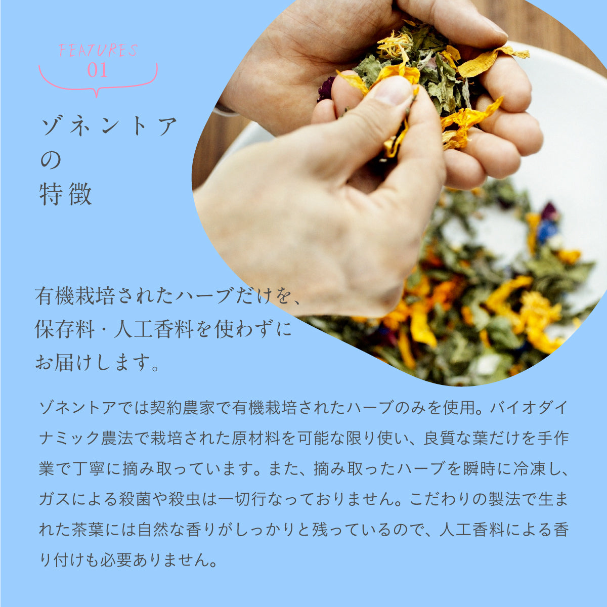 ゾネントア It’s all good tea スイートドリーム