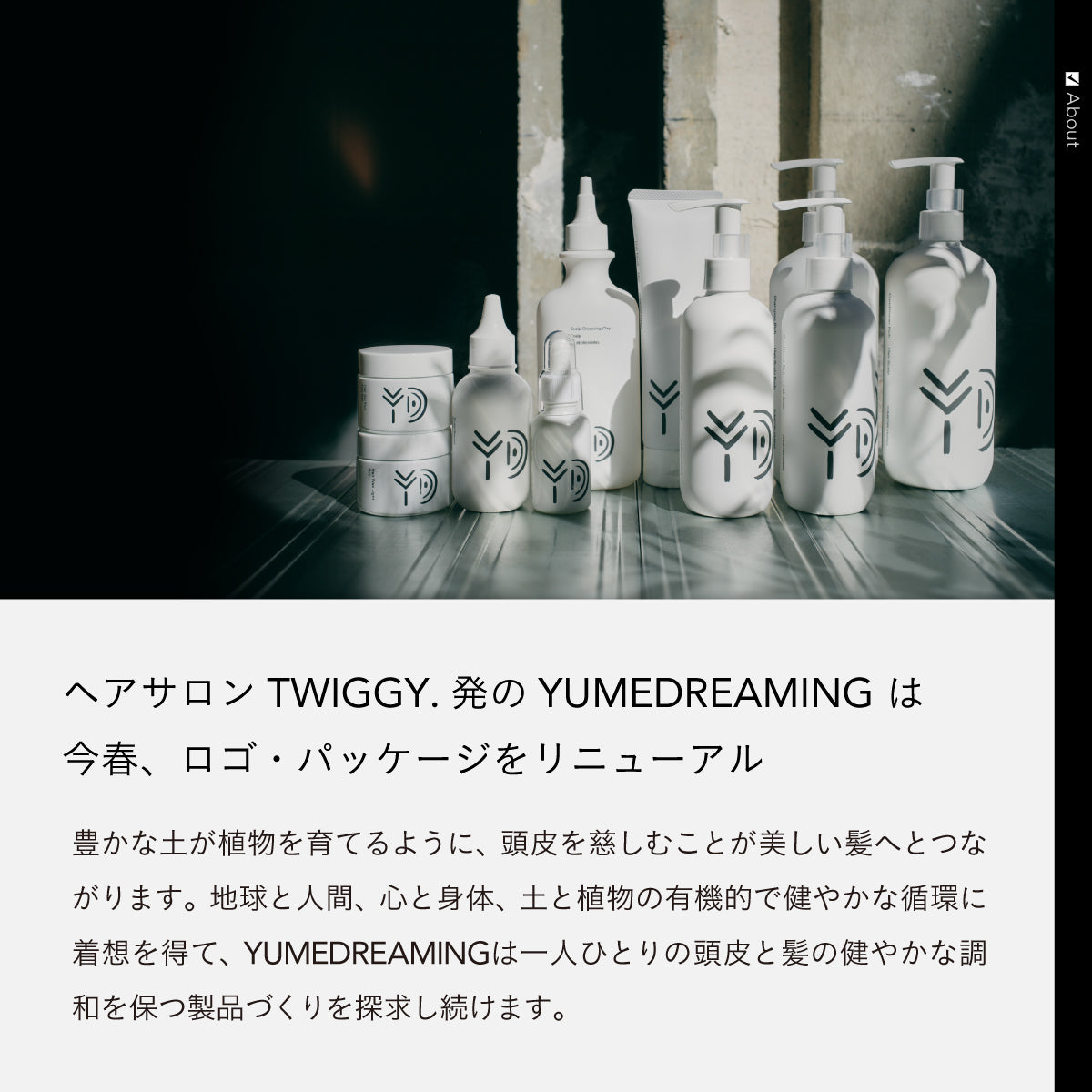 YUMEDREAMING スカルプセラム&ヘアオイル セット