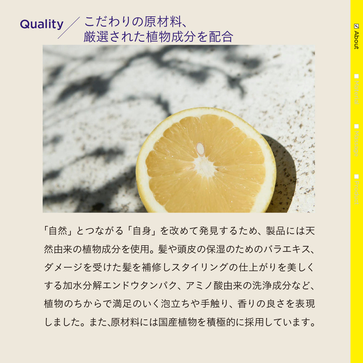 【15%OFF】EPICUREAN トライアルライトセット