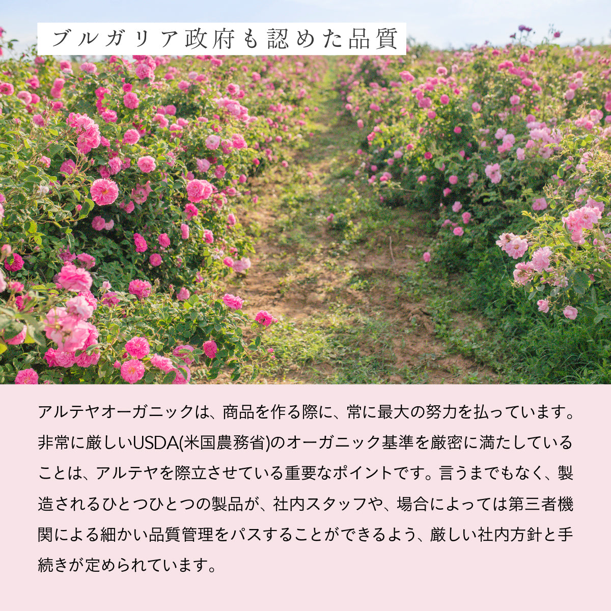 ALTEYA ORGANICS ブルガリアンローズローション 100ml