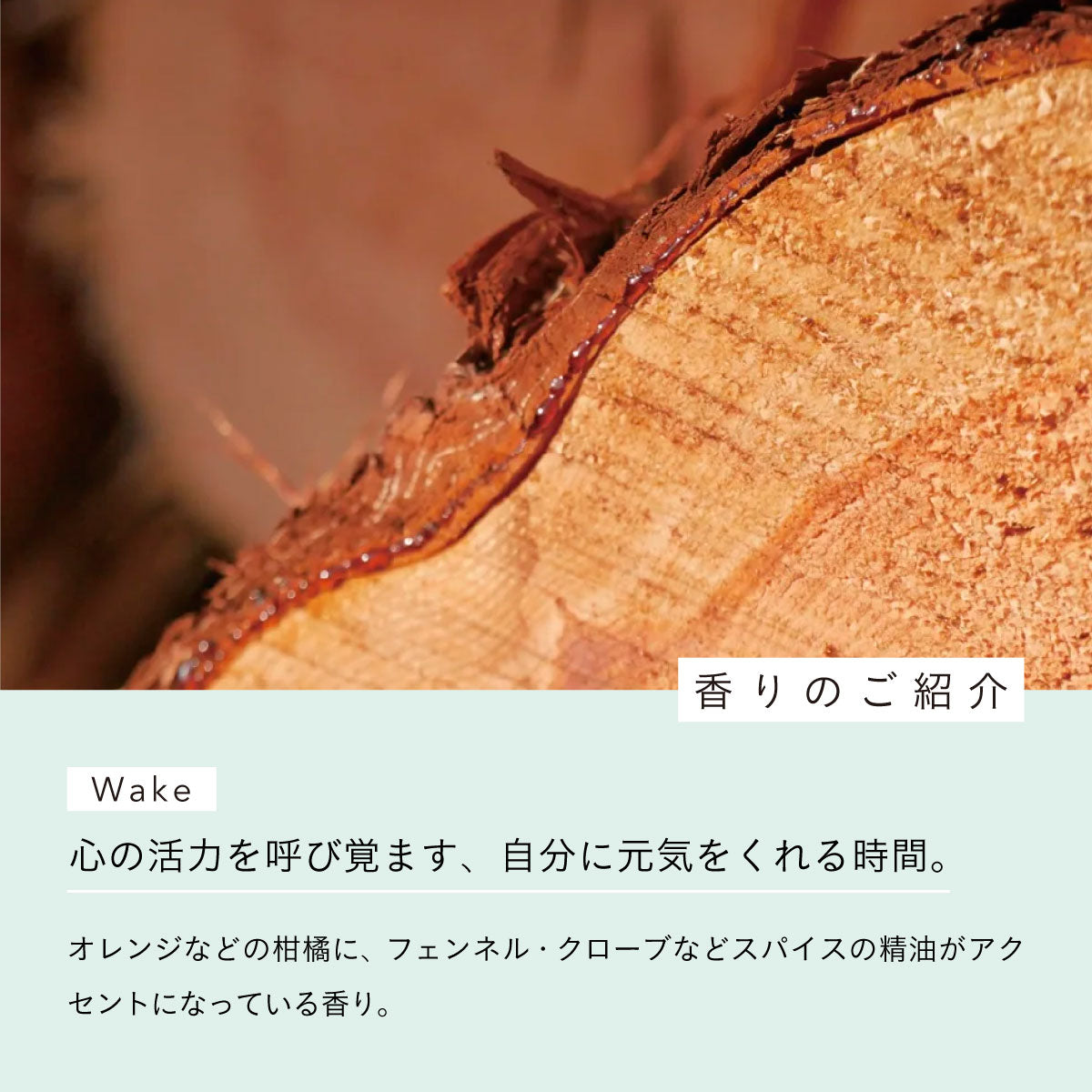 aroma recolte ソリッドパフューム Focus