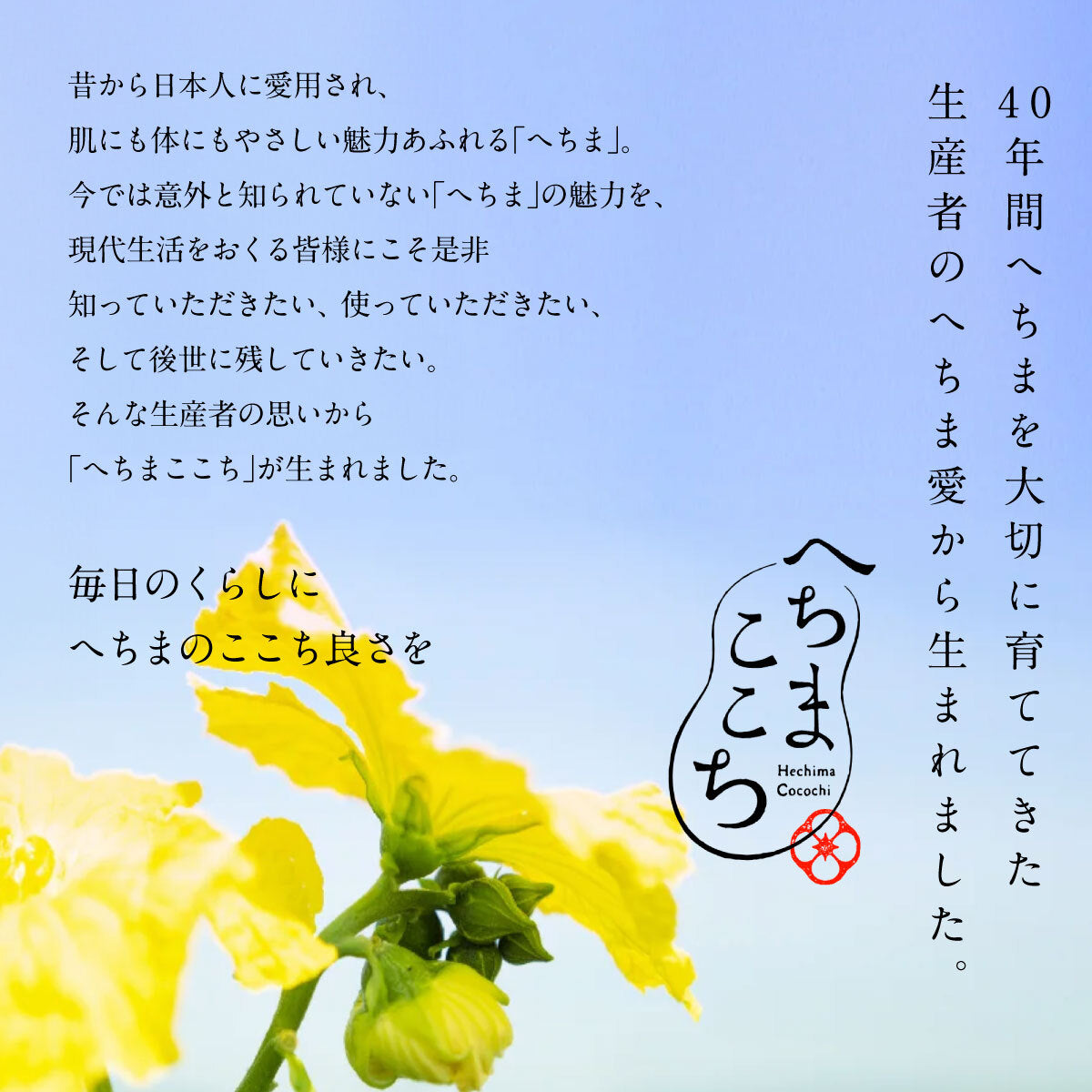 へちまここちスキンケアセット3点セット【B】/へちまローション/はちみつ茶石けん/馬油