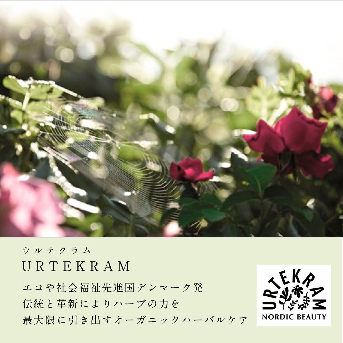 URTEKRAM オーガニックモイスチャーシャンプー&コンディショナーセット レモングラス