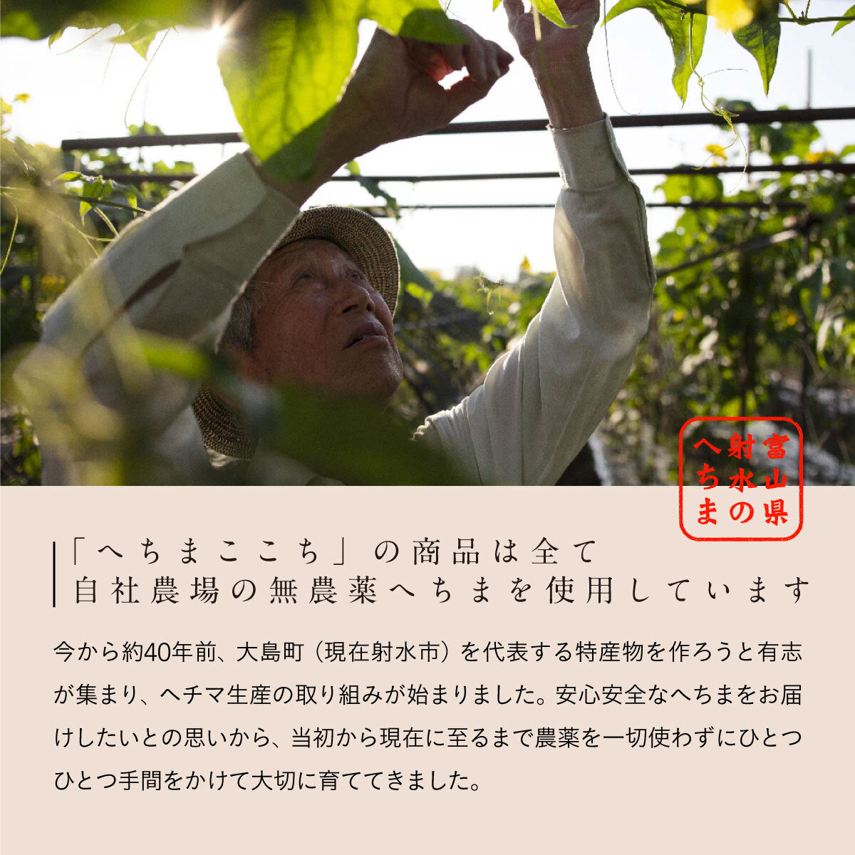 へちまここち 国産へちま馬油クリーム 8ml