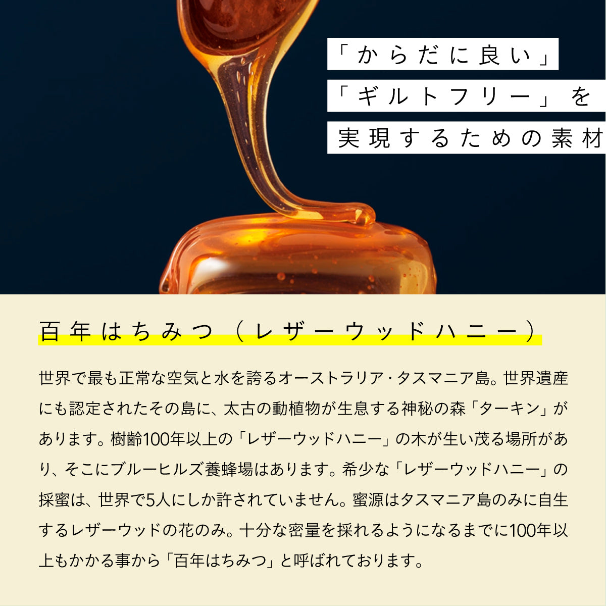 だいじょうぶなもの 百年はちみつのどあめ レザーウッドハニー&ハーブ 2種セット(ゆず&はちみつ味/生姜レモン味)