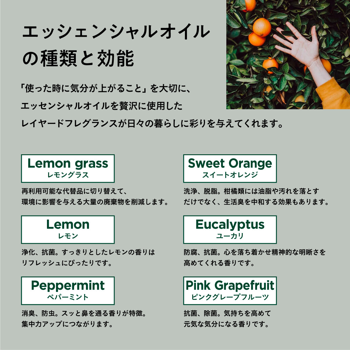 Green Nation life エアフレッシュナー 200ml マンダリン+レモンマートル