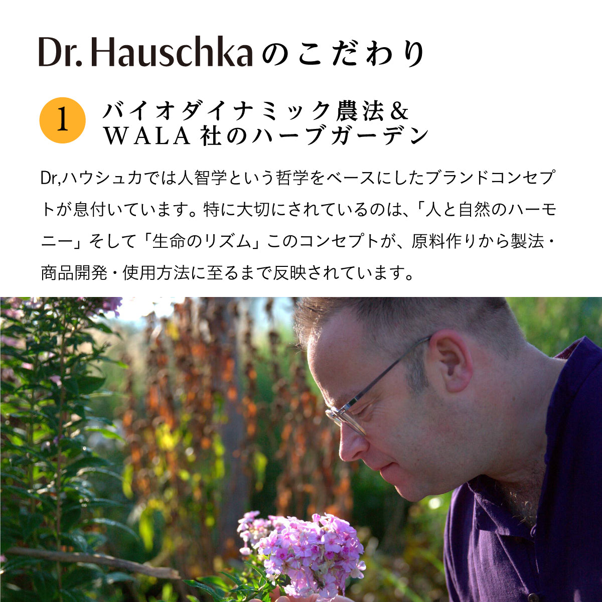 Dr.Hauschka ハンドクリーム 50ml