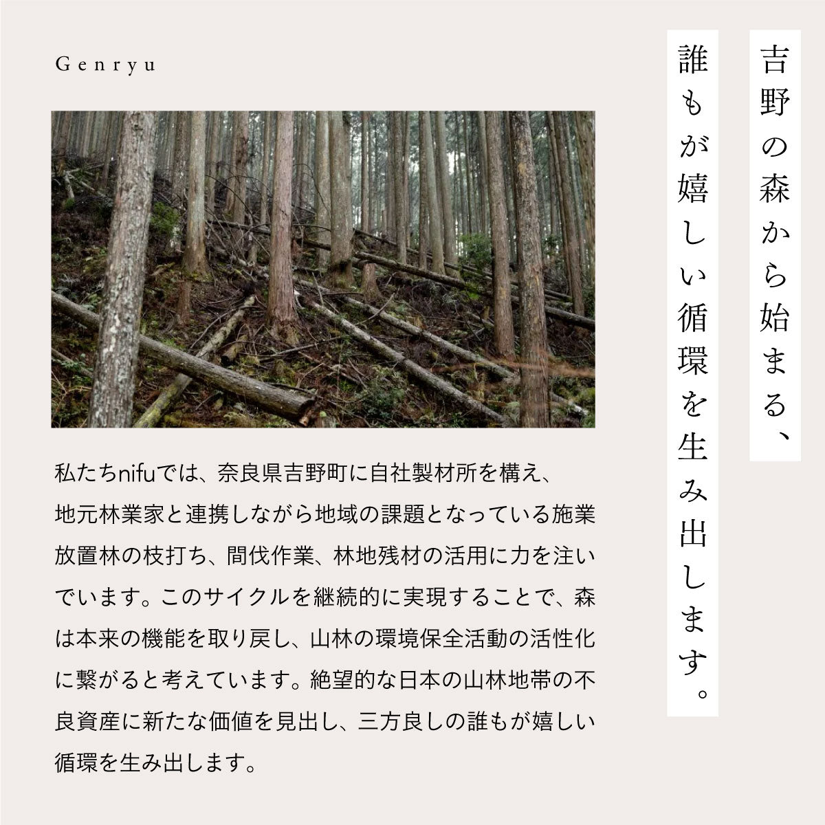 nifu wakan bath tablet 3錠入