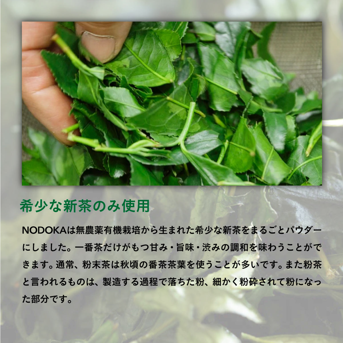 NODOKA オーガニック日本茶お試し【スティック6本セット】