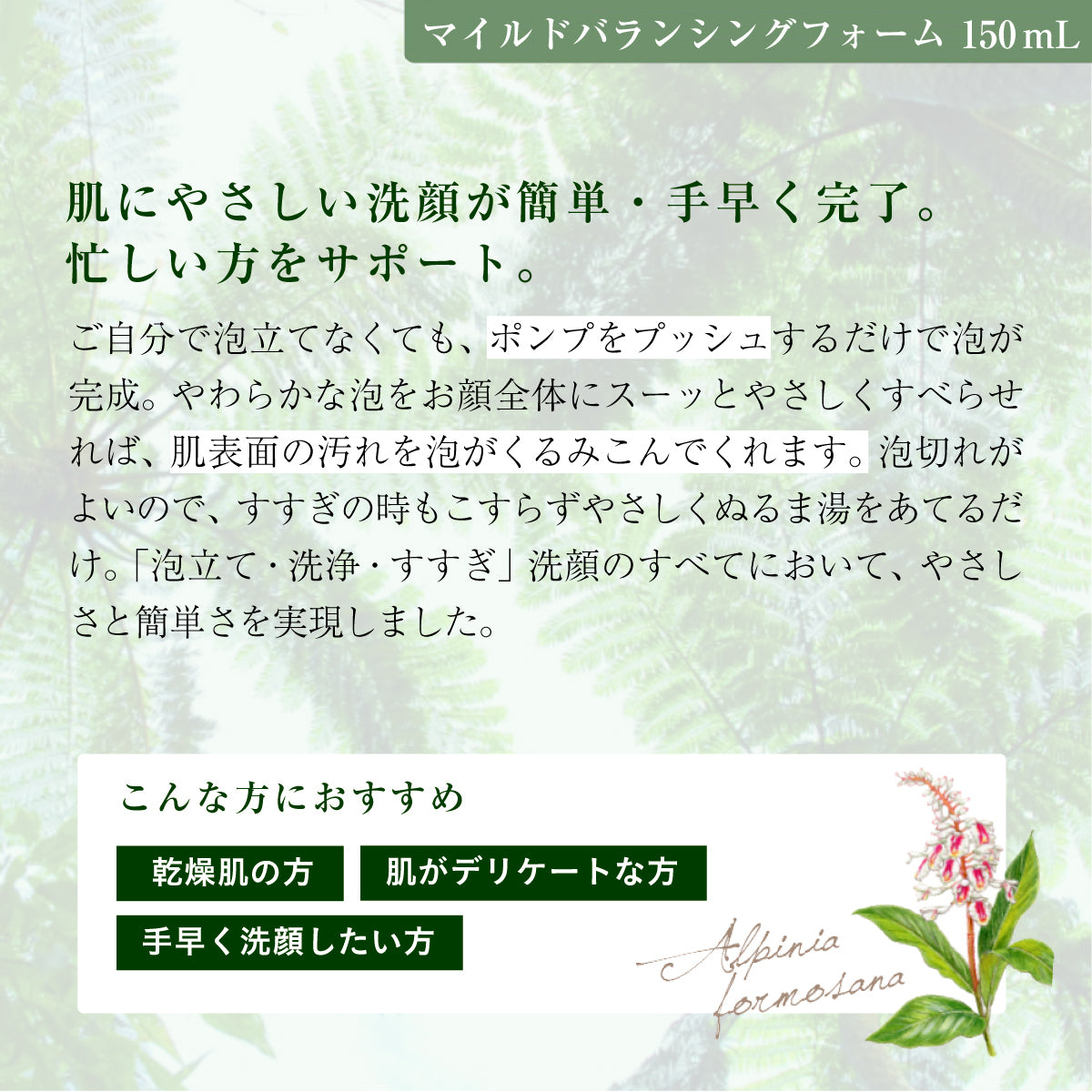 アルファピニ 28 マイルドバランシングフォーム 150 mL