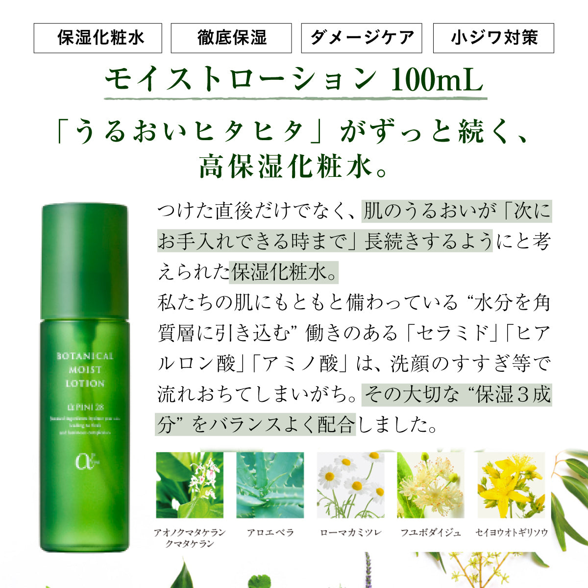 アルファピニ 28 モイストローション 100mL