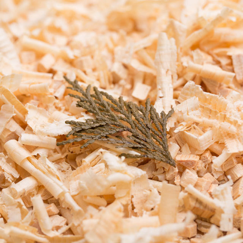 STYLE JAPAN ジャパニーズスパ(2包入り)