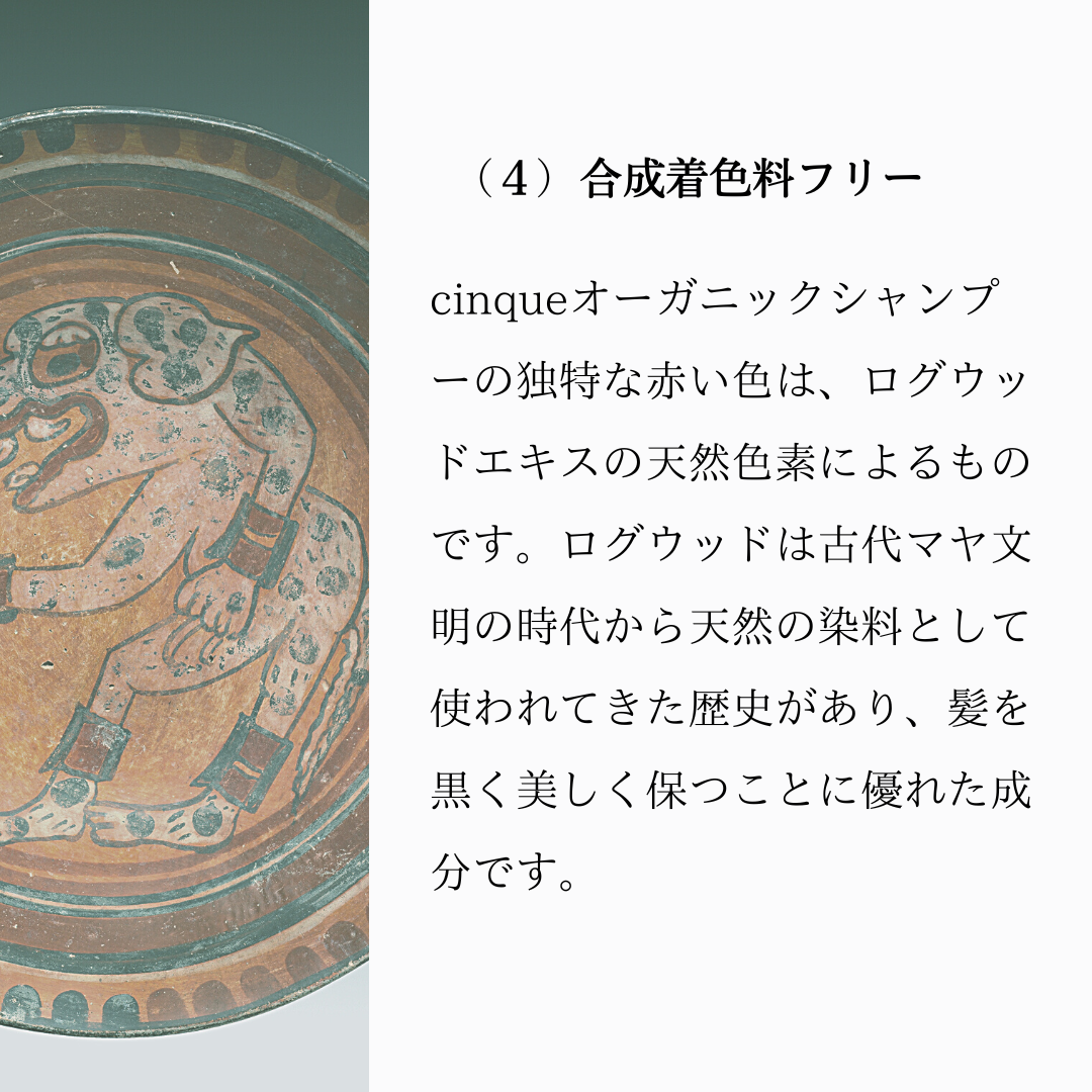 cinque 3日間トライアルセット