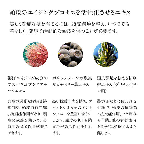 ORIENS’TELLA フランキンセンスコンディショナー03 (ポンプ無し)