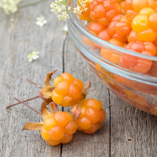 Care of Gerd ボディローション 200mL