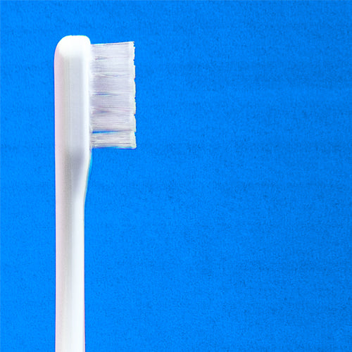 made of Organics ×ティースアート ホワイトニング歯ブラシ