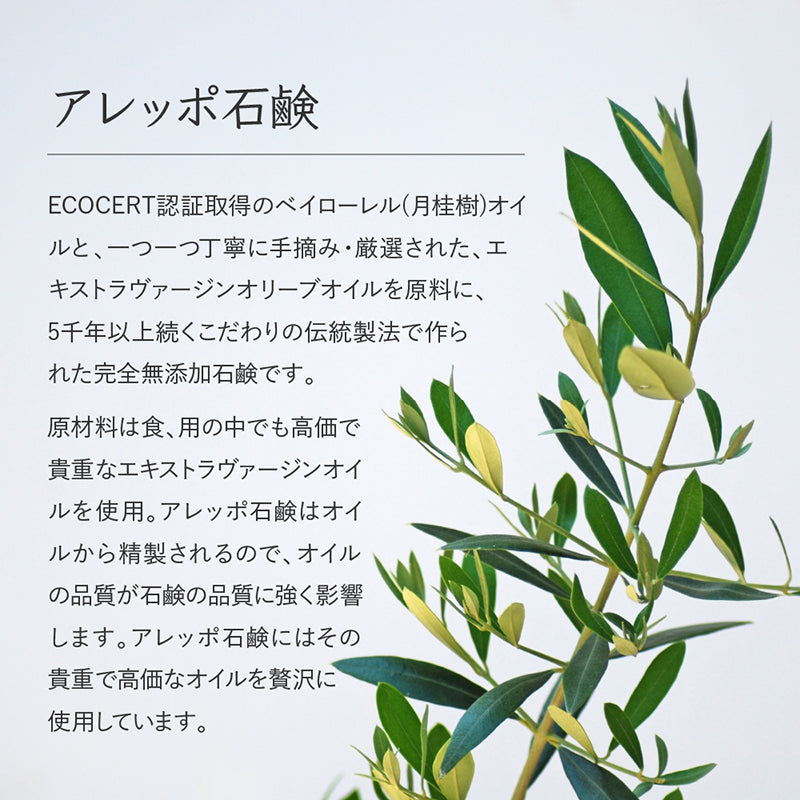 アレッポ石鹸 アラブの宝石