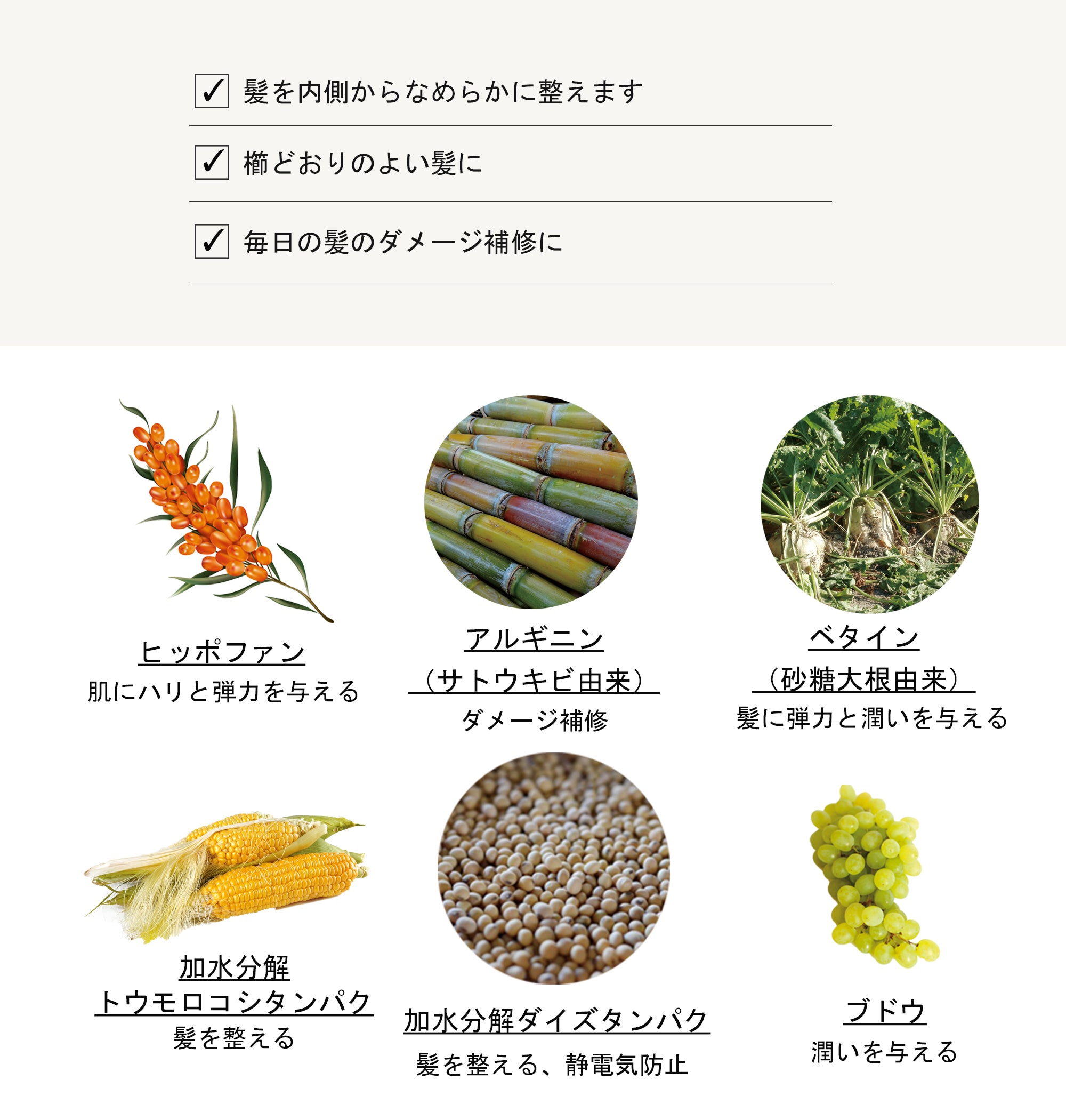 LOGONA リペアヘアコンディショナー ヒッポファン 200ml