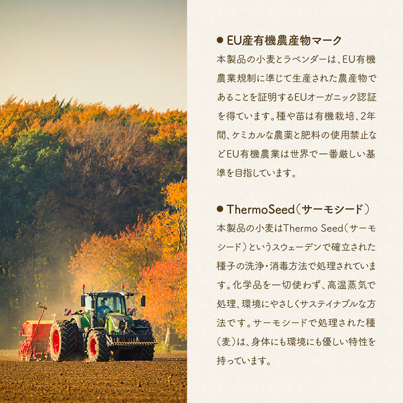 KLIPPAN 麦の温冷アイピローラベンダー ウォッシュドリネン(グレー)