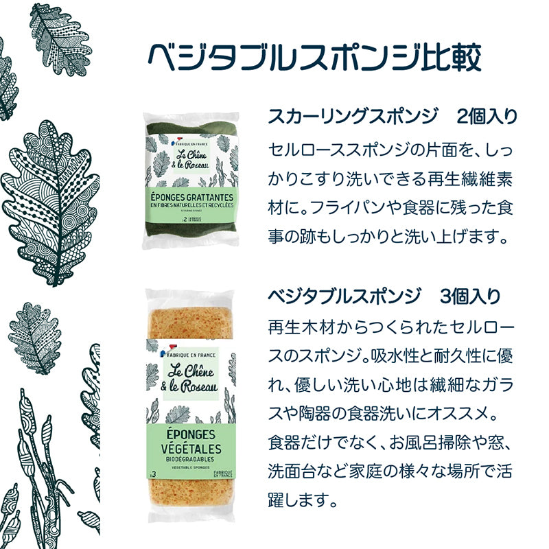 Le chene & le Roseau スカーリングスポンジ 2個入りパック