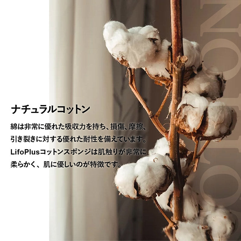 LifoPlus ミットクラシック