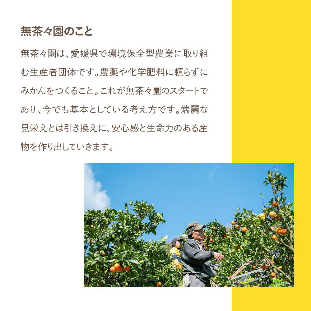 yaetoco 家族ハンドクリーム 伊予柑 60g