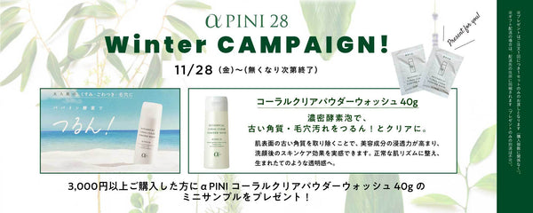 PINI 28 サンプルをお配りします