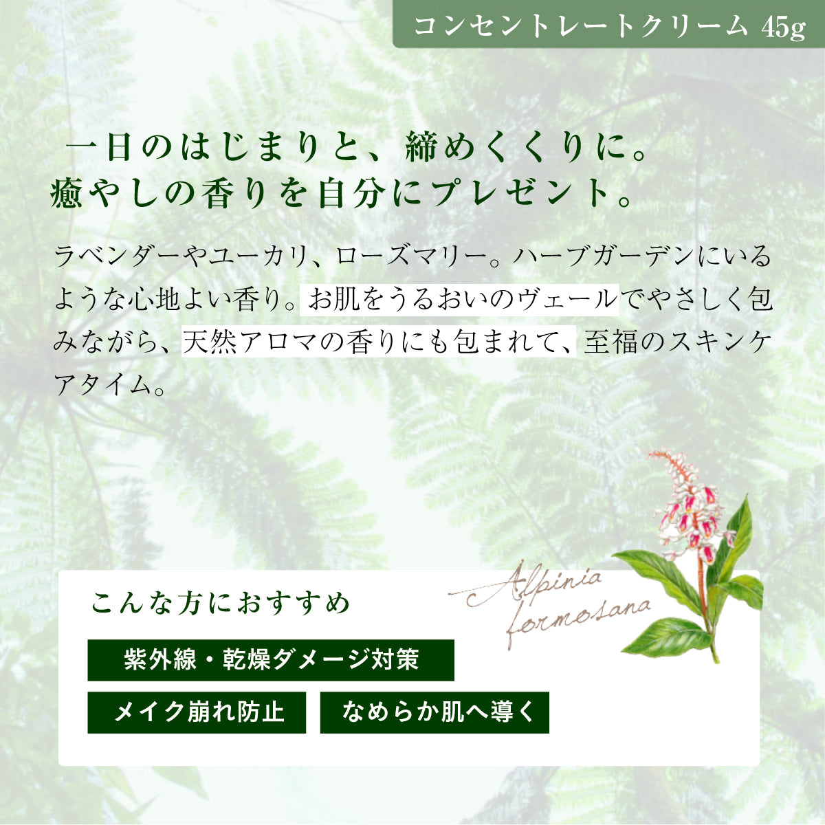 アルファピニ モイストローション&コンセントレートクリーム セット