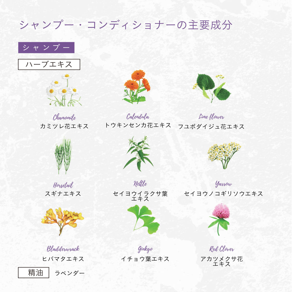 HERBANICA シャンプー500ml (ハーブ＆ラベンダー)　