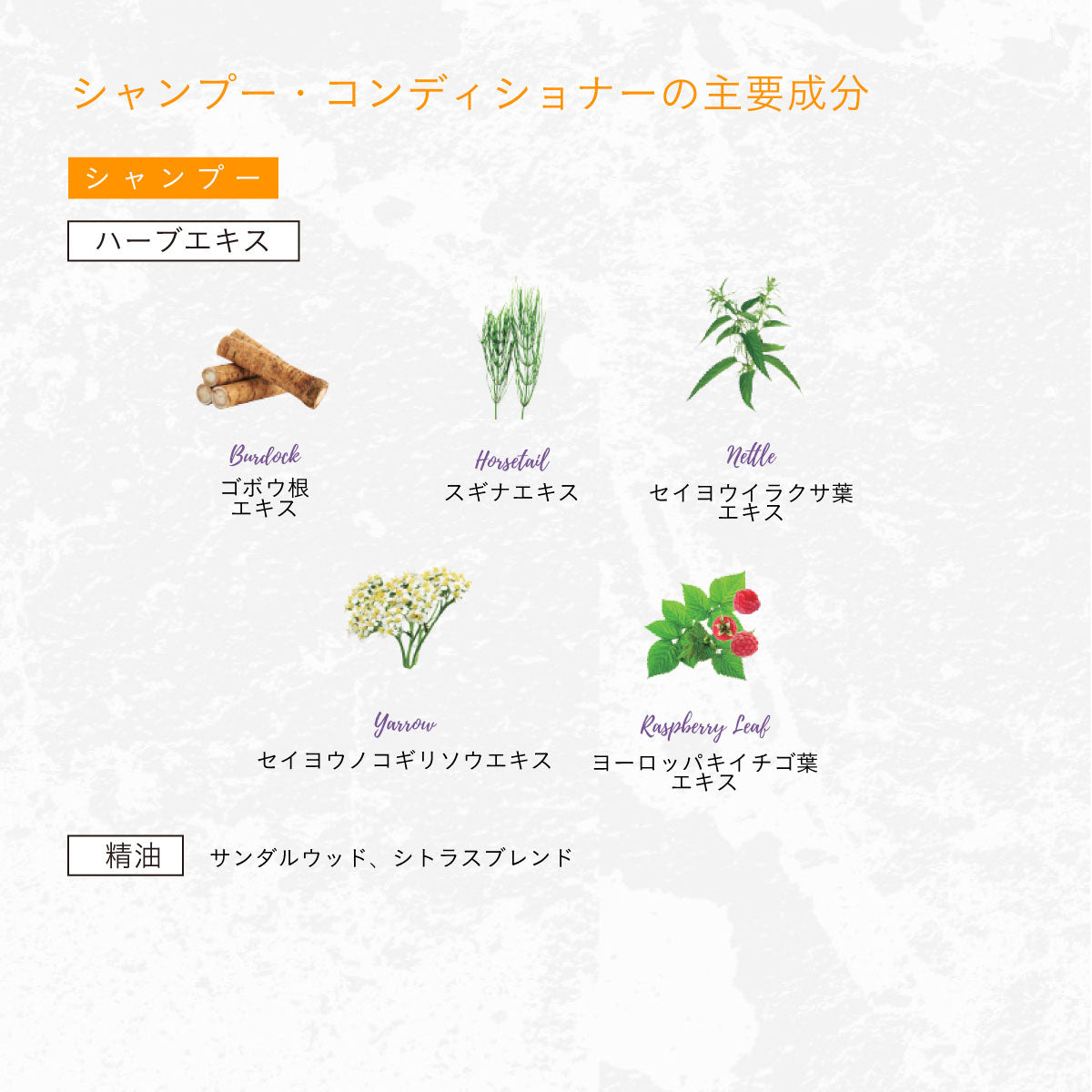HERBANICA シャンプー&コンディショナーセット (ハーブ＆ハニー)