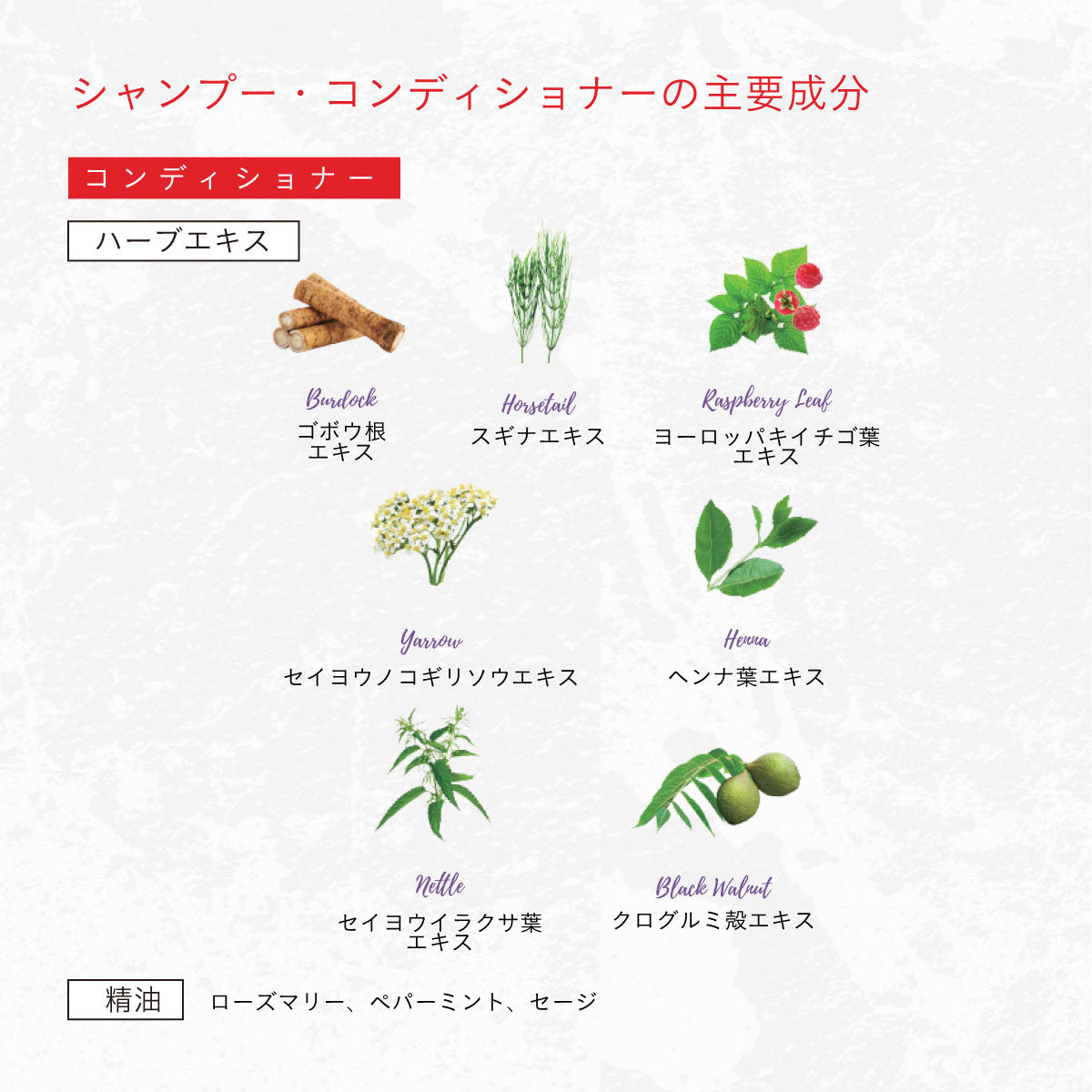 HERBANICA シャンプー&コンディショナーセット (グロウ)